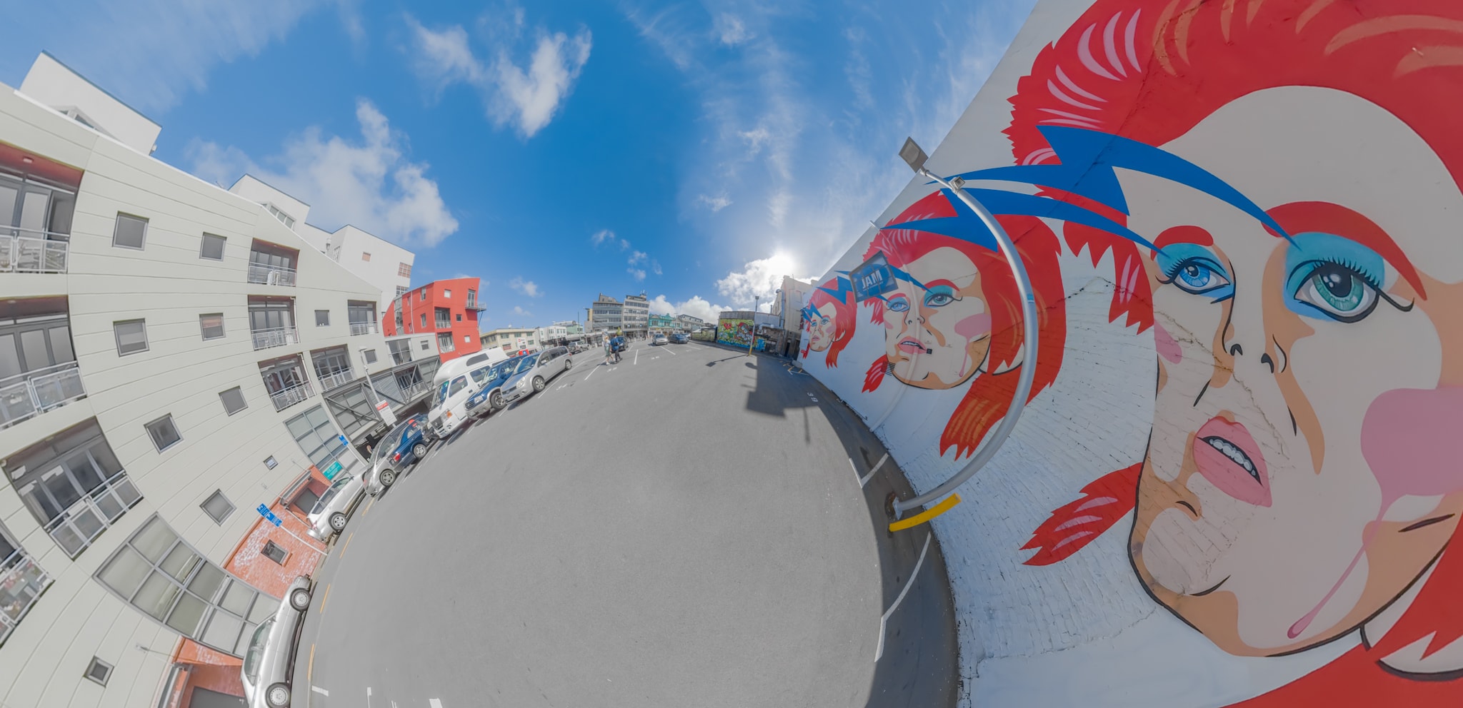 Bowie Street Painting Wellington Nz - Planet